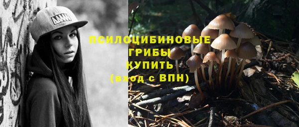 ГАЛЛЮЦИНОГЕННЫЕ ГРИБЫ Абинск