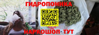 гидропоника Азнакаево
