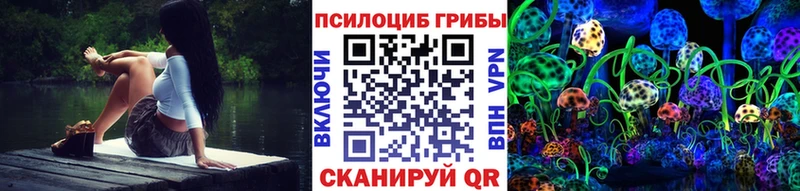 Псилоцибиновые грибы Cubensis где купить наркоту Абинск